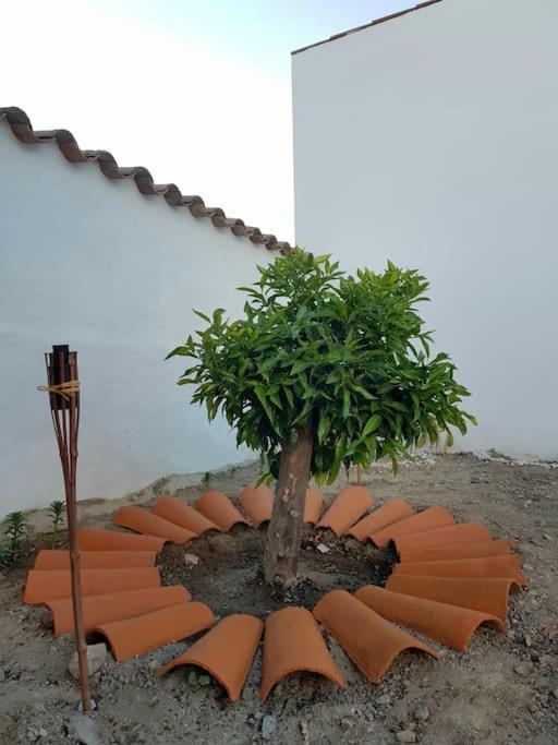 Casa Da Enxota Villa Povoa de Sao Miguel Eksteriør bilde