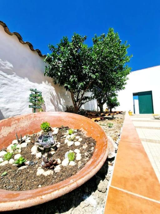 Casa Da Enxota Villa Povoa de Sao Miguel Eksteriør bilde